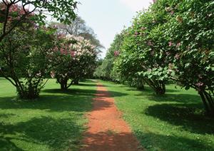 大阪梅田でカウンセリングを受けるなら