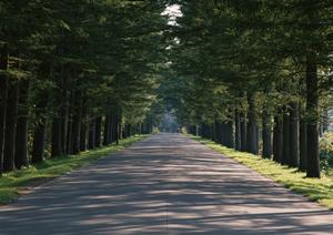 心と体のトータルケアが可能なクリニック